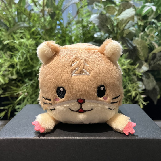 夢色キャスト ボンレスはむ ぬいぐるみキーホルダー お歳暮2025ver.
